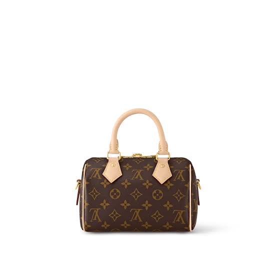 Louis Vuitton Nano Speedy bag in the iconic Monogram