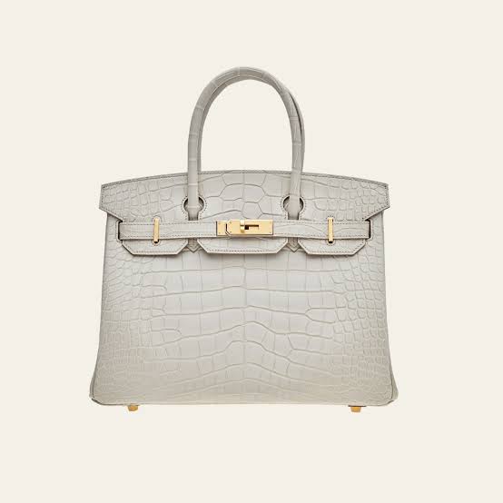 Hermès Birkin 25 handbag crafted in Béton matte alligator leather with gold-plated hardware